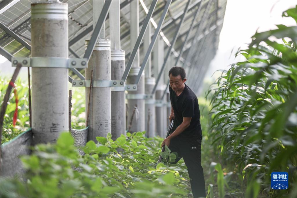 立博备用网